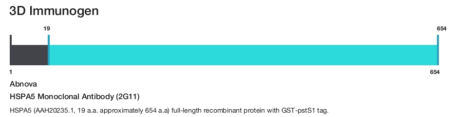 HSPA5 Monoclonal Antibody (2G11)