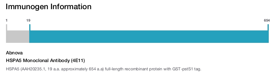 HSPA5 Monoclonal Antibody (4E11)