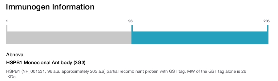 HSPB1 Monoclonal Antibody (3G3)