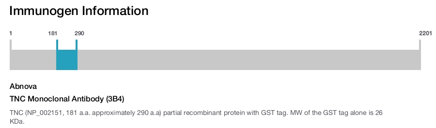 TNC Monoclonal Antibody (3B4)