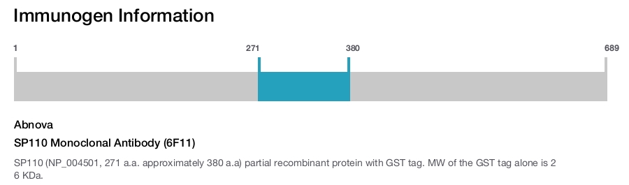 SP110 Monoclonal Antibody (6F11)