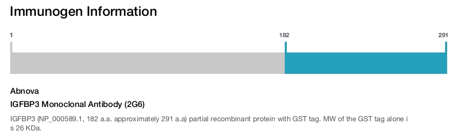 IGFBP3 Monoclonal Antibody (2G6)