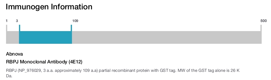 RBPJ Monoclonal Antibody (4E12)