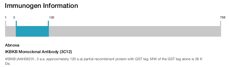 IKBKB Monoclonal Antibody (3C12)