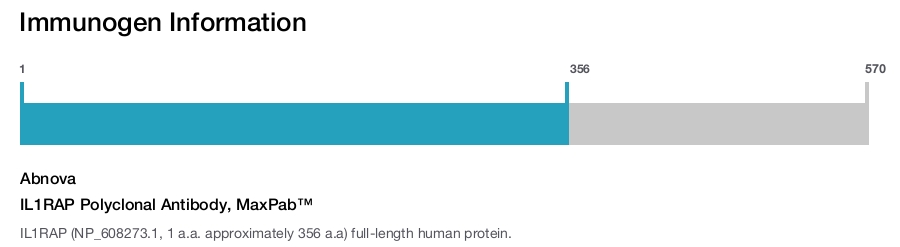IL1RAP Polyclonal Antibody, MaxPab™