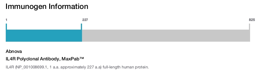 IL4R Polyclonal Antibody, MaxPab&trade;