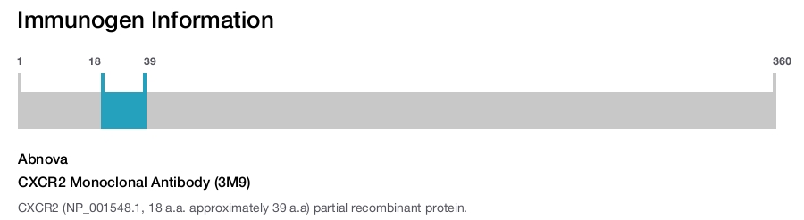 CXCR2 Monoclonal Antibody (3M9)