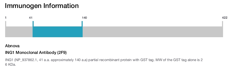 ING1 Monoclonal Antibody (2F9)
