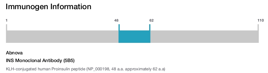 INS Monoclonal Antibody (5B5)