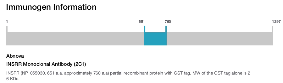 INSRR Monoclonal Antibody (2C1)