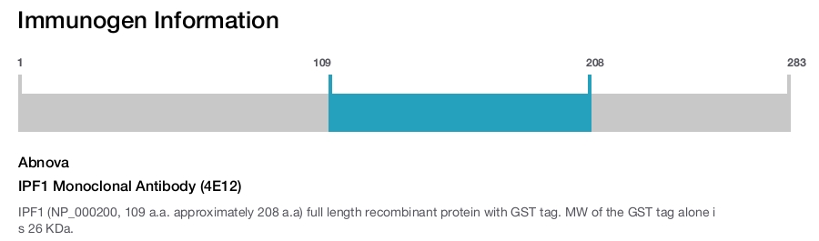 IPF1 Monoclonal Antibody (4E12)