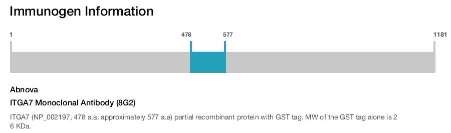 ITGA7 Monoclonal Antibody (8G2)