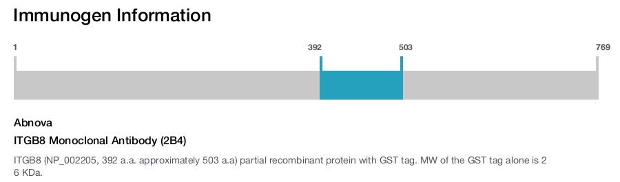 ITGB8 Monoclonal Antibody (2B4)