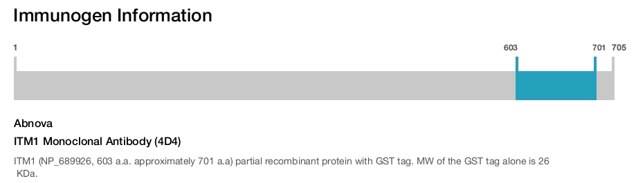 ITM1 Monoclonal Antibody (4D4)