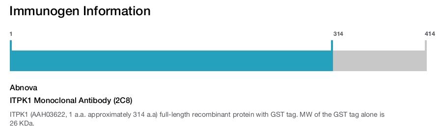 ITPK1 Monoclonal Antibody (2C8)