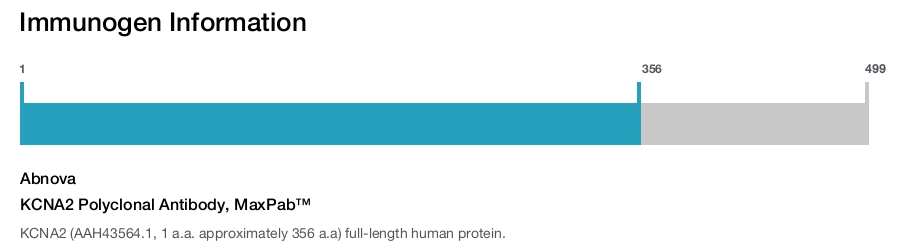 KCNA2 Polyclonal Antibody, MaxPab™