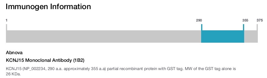KCNJ15 Monoclonal Antibody (1B2)