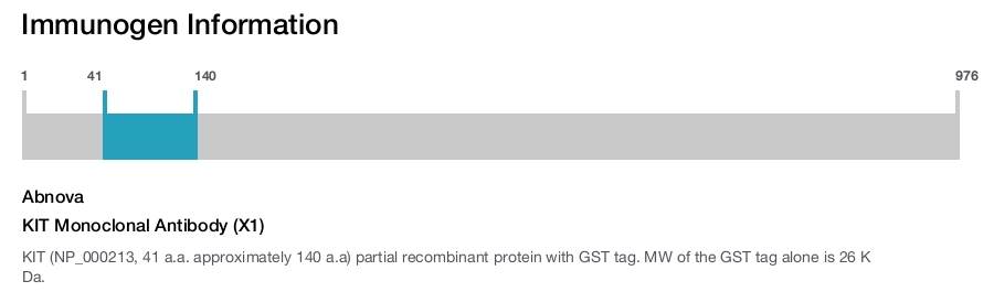 KIT Monoclonal Antibody (X1)