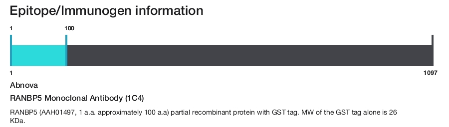 RANBP5 Monoclonal Antibody (1C4)