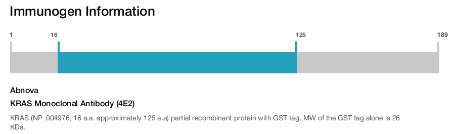 KRAS Monoclonal Antibody (4E2)
