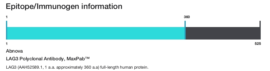 LAG3 Polyclonal Antibody, MaxPab&trade;
