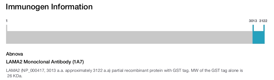 LAMA2 Monoclonal Antibody (1A7)