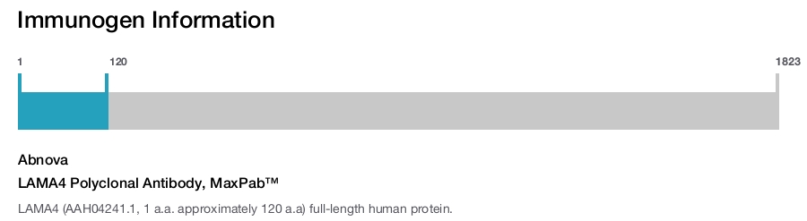 LAMA4 Polyclonal Antibody, MaxPab™