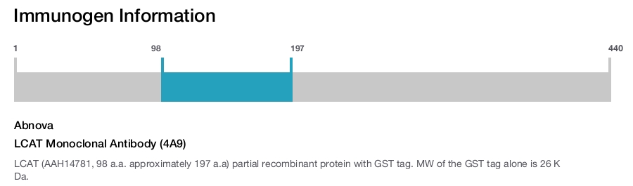 LCAT Monoclonal Antibody (4A9)
