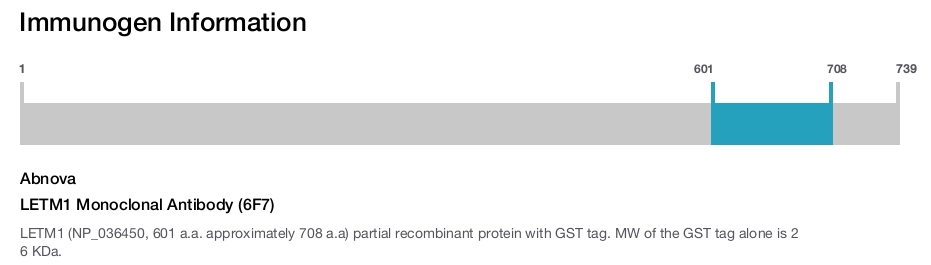 LETM1 Monoclonal Antibody (6F7)