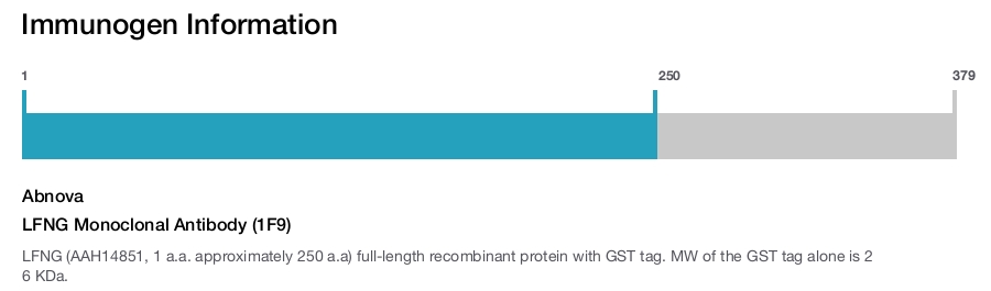 LFNG Monoclonal Antibody (1F9)