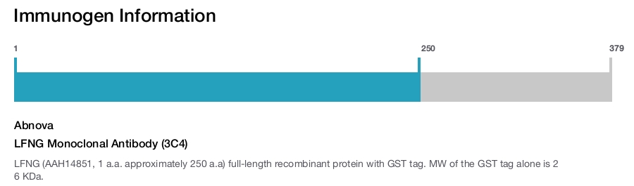 LFNG Monoclonal Antibody (3C4)