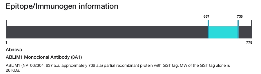 ABLIM1 Monoclonal Antibody (3A1)