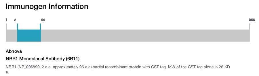 NBR1 Monoclonal Antibody (6B11)