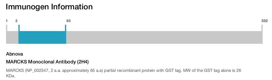 MARCKS Monoclonal Antibody (2H4)
