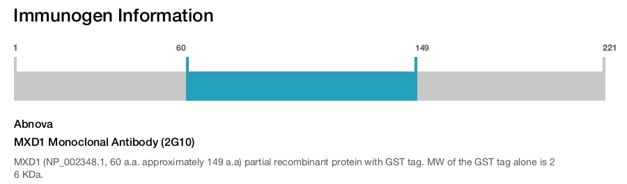 MXD1 Monoclonal Antibody (2G10)
