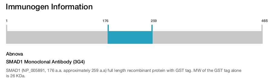SMAD1 Monoclonal Antibody (3G4)