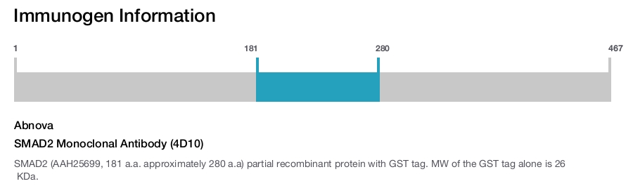 SMAD2 Monoclonal Antibody (4D10)