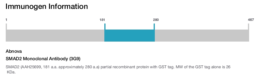 SMAD2 Monoclonal Antibody (3G9)