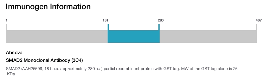 SMAD2 Monoclonal Antibody (3C4)