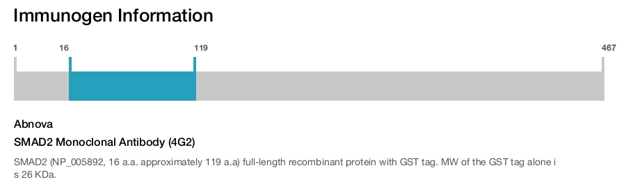 SMAD2 Monoclonal Antibody (4G2)