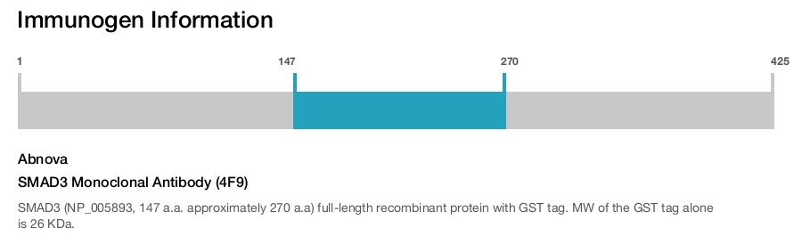 SMAD3 Monoclonal Antibody (4F9)