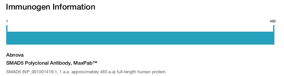 SMAD5 Polyclonal Antibody, MaxPab&trade;