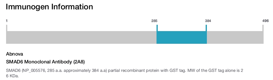 SMAD6 Monoclonal Antibody (2A8)