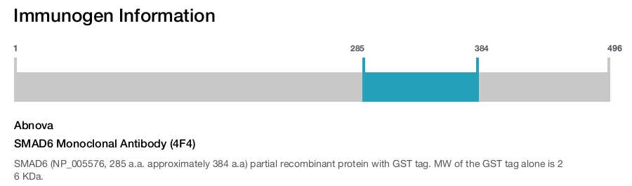 SMAD6 Monoclonal Antibody (4F4)