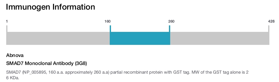 SMAD7 Monoclonal Antibody (3G8)