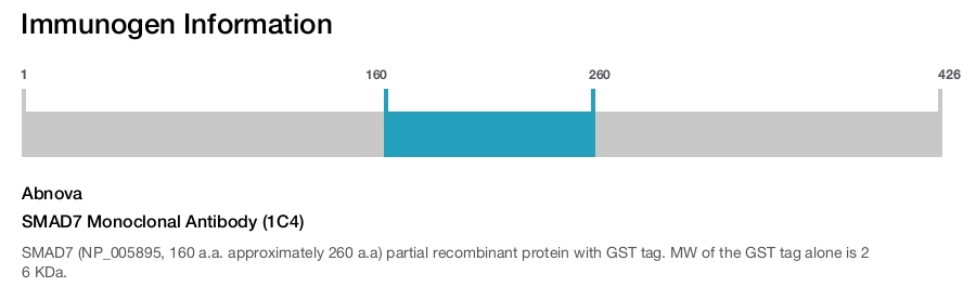 SMAD7 Monoclonal Antibody (1C4)