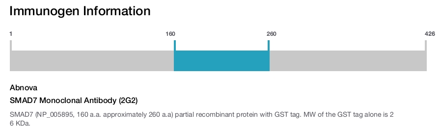 SMAD7 Monoclonal Antibody (2G2)