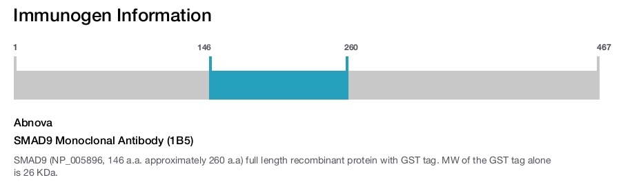 SMAD9 Monoclonal Antibody (1B5)