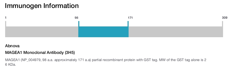 MAGEA1 Monoclonal Antibody (3H5)