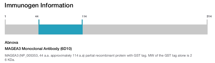 MAGEA3 Monoclonal Antibody (6D10)